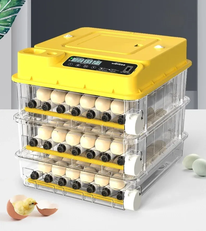 Incubateur intelligent contrôle température 24 à 128 œufs