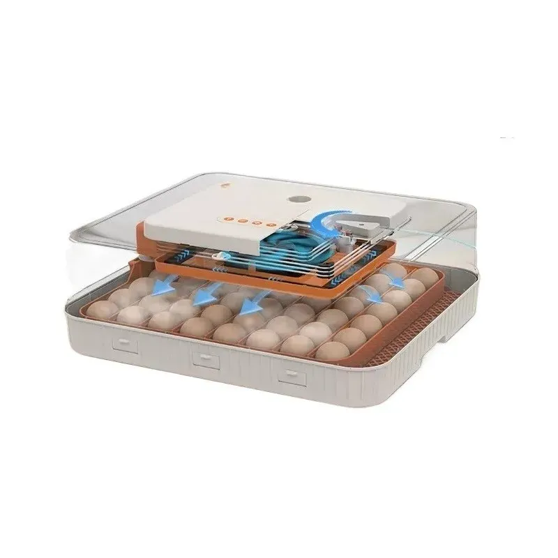 Incubateur miniature automatique 56 œufs 220V/12V