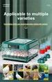 Incubateur œufs 10 à 15 œufs double alimentation retournement eau – 7