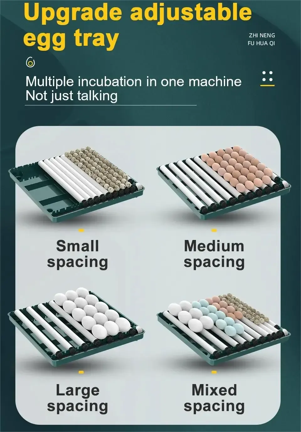 Incubateur œufs 10 à 15 œufs double alimentation retournement eau