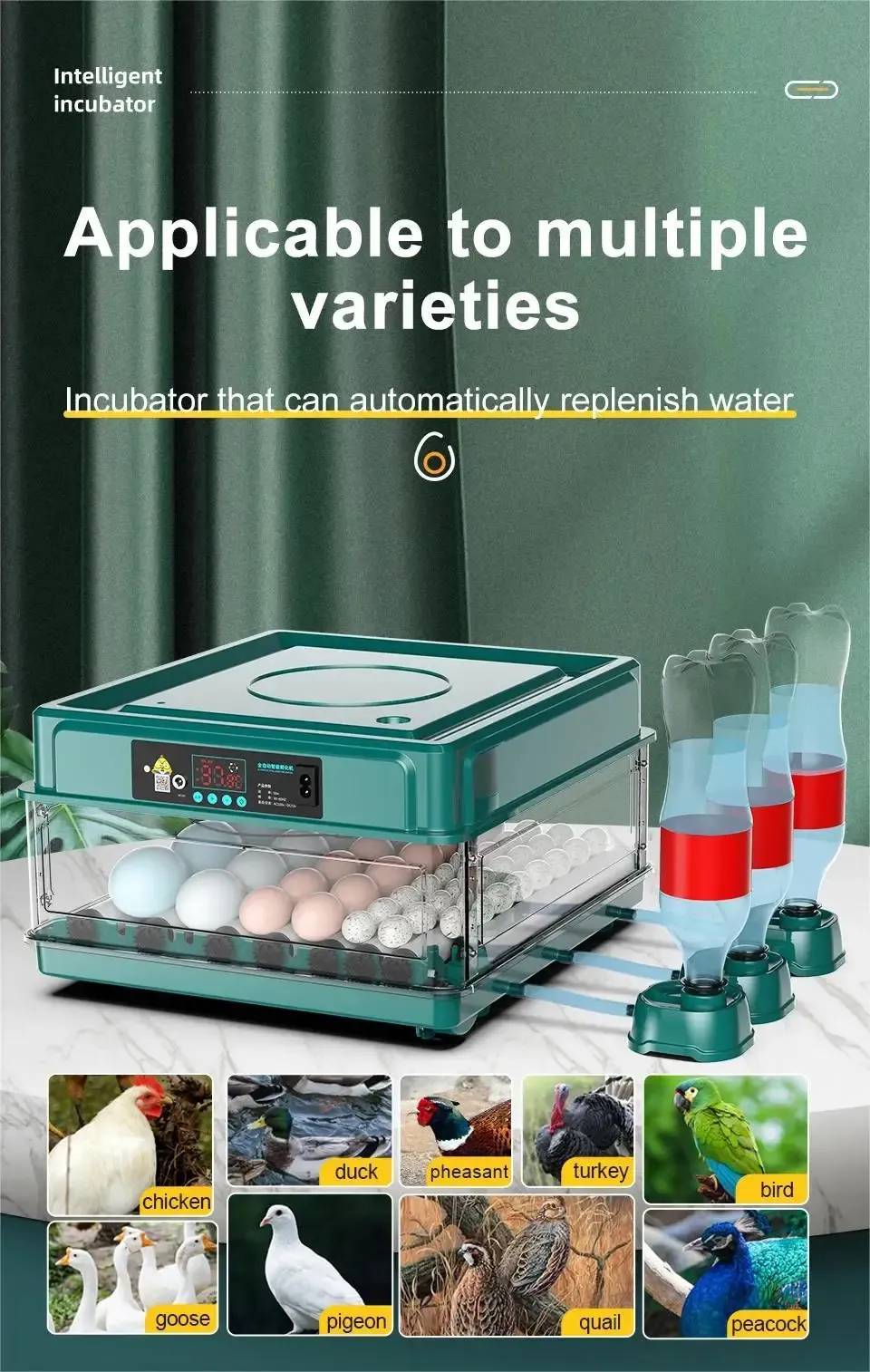 Incubateur œufs 10 à 15 œufs double alimentation retournement eau