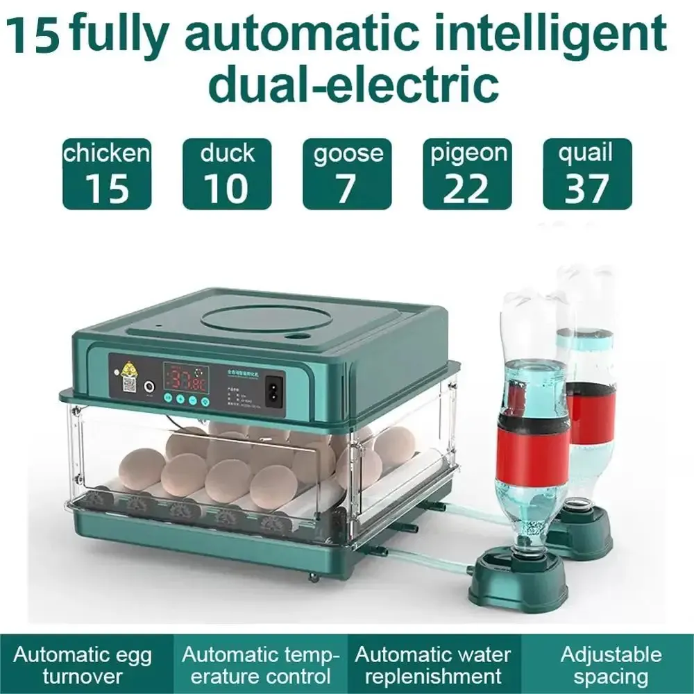 Incubateur œufs 10 à 15 œufs double alimentation retournement eau
