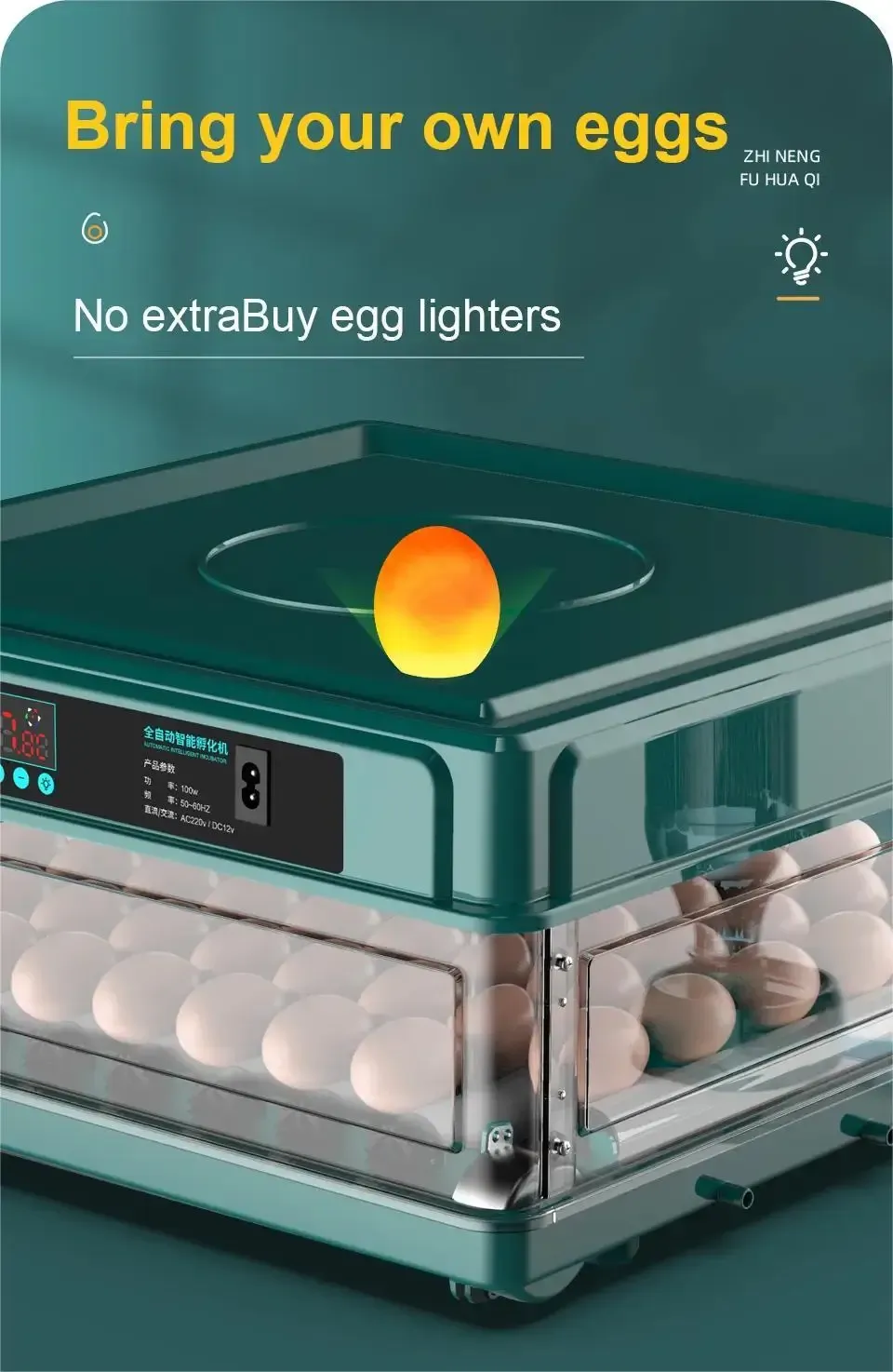 Incubateur œufs 10 à 15 œufs double alimentation retournement eau