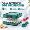 Incubateur œufs 10 à 36 œufs retourneur automatique élevage – 2