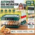 Incubateur œufs 10 à 36 œufs retourneur automatique élevage – 3