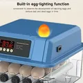 Incubateur œufs 12 à 24 œufs retournement ajout eau automatique – 5