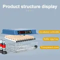 Incubateur œufs 12 à 24 œufs retournement ajout eau automatique – 7