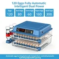 Incubateur œufs 15 à 120 œufs contrôle température humidité – Couleur 120 eggs