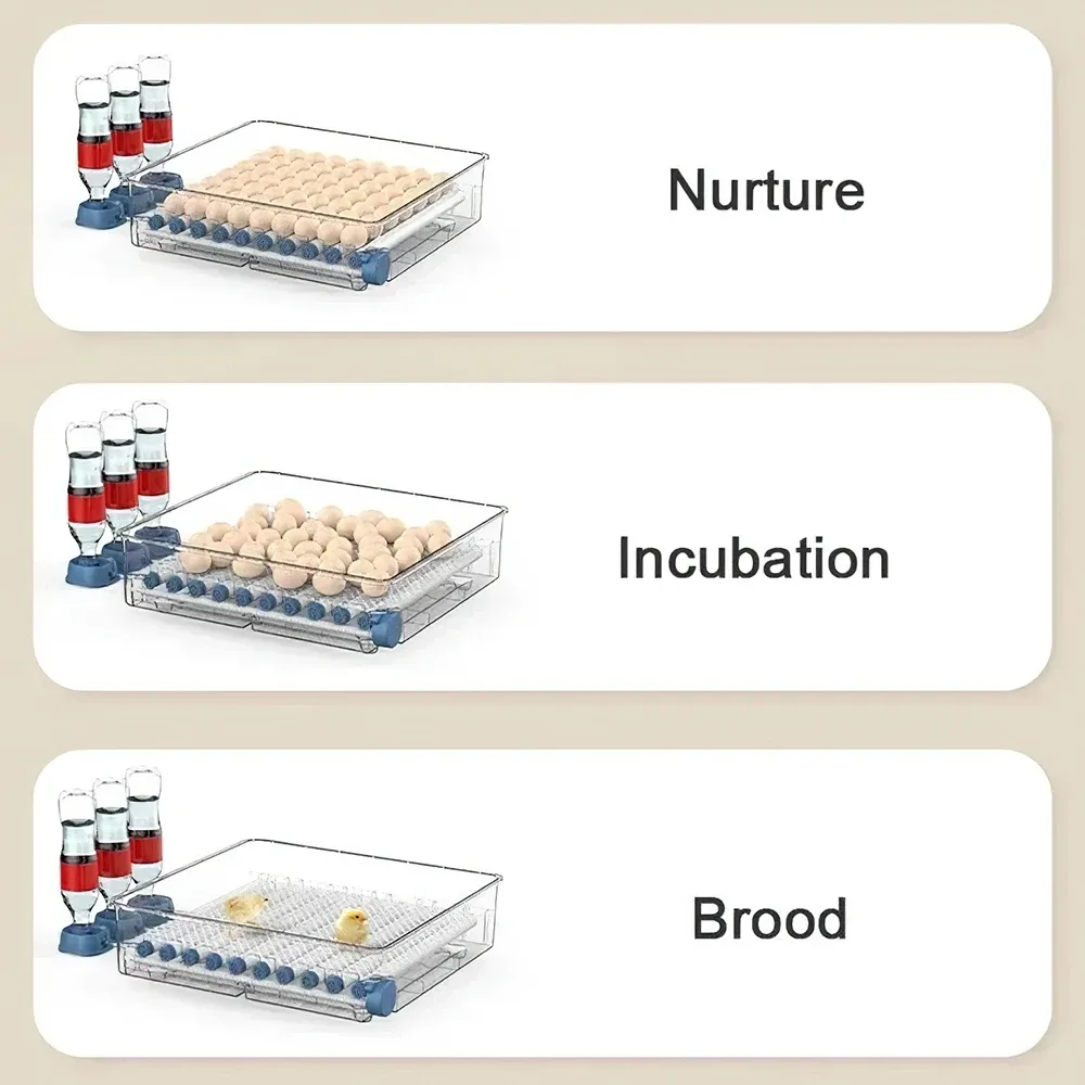 Incubateur œufs 15 à 120 œufs contrôle température humidité
