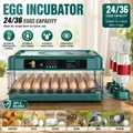 Incubateur œufs 15 à 36 œufs tiroir retournement automatique – 1