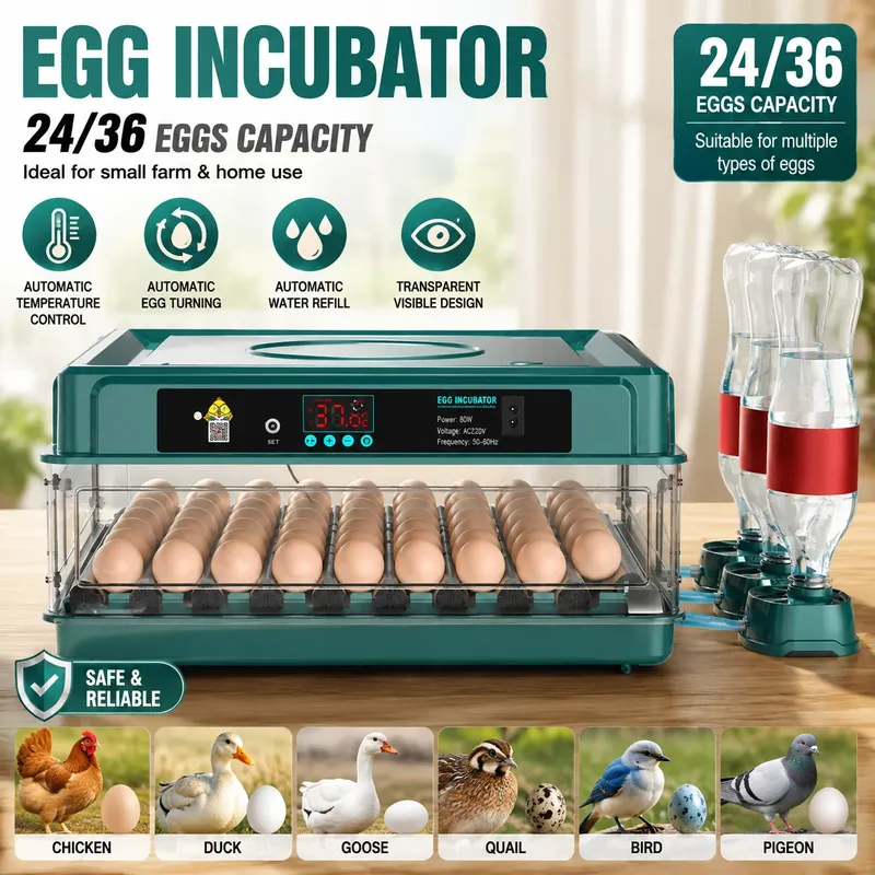 Incubateur œufs 15 à 36 œufs tiroir retournement automatique