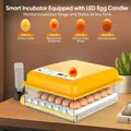Incubateur œufs 16 à 36 œufs numérique lampe LED retournement – 5