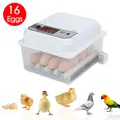 Incubateur œufs 16 œufs double électrique retournement automatique – 1