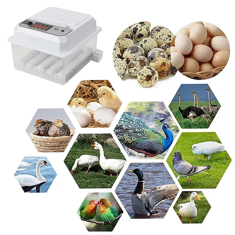 Incubateur œufs 16 œufs double électrique retournement automatique
