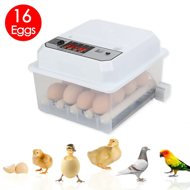 Incubateur œufs 16 œufs double électrique retournement automatique