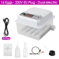 Incubateur œufs 16 œufs double électrique retournement automatique – Couleur 16 Eggs EU 220V