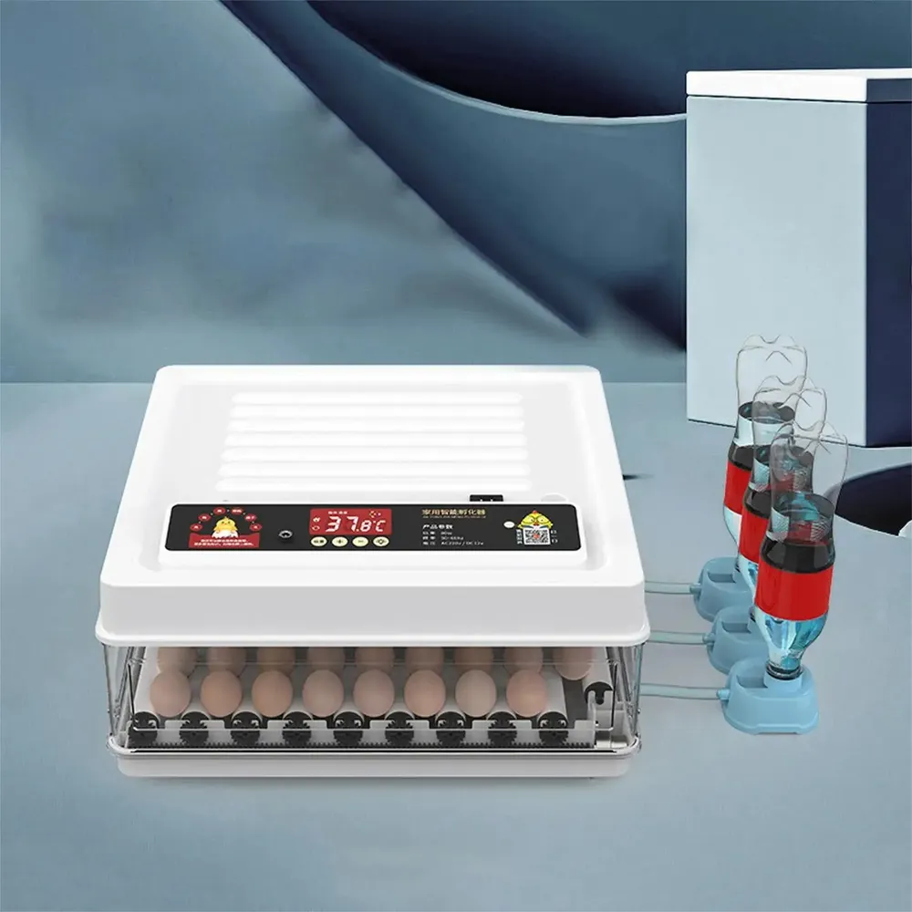 Incubateur œufs 24 à 36 œufs retourneur automatique élevage