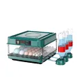 Incubateur œufs 24 à 36 œufs retourneur automatique élevage – Couleur vert