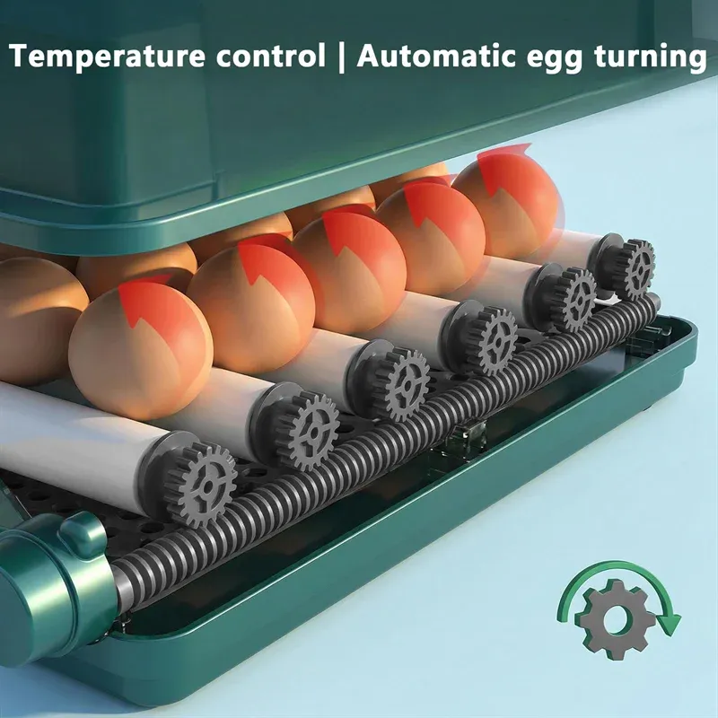Incubateur œufs 36 œufs tiroir retournement automatique domestique