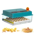 Incubateur œufs automatique écran tactile double humidification – 2