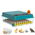Incubateur œufs automatique écran tactile double humidification – Couleur 64 Eggs Single Power