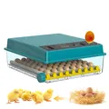 Incubateur œufs automatique écran tactile double humidification – Couleur 64 Eggs Dual Power