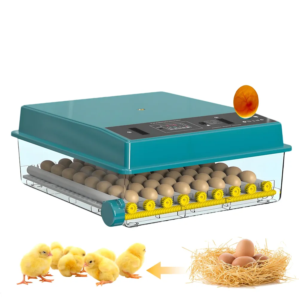 Incubateur œufs automatique écran tactile double humidification
