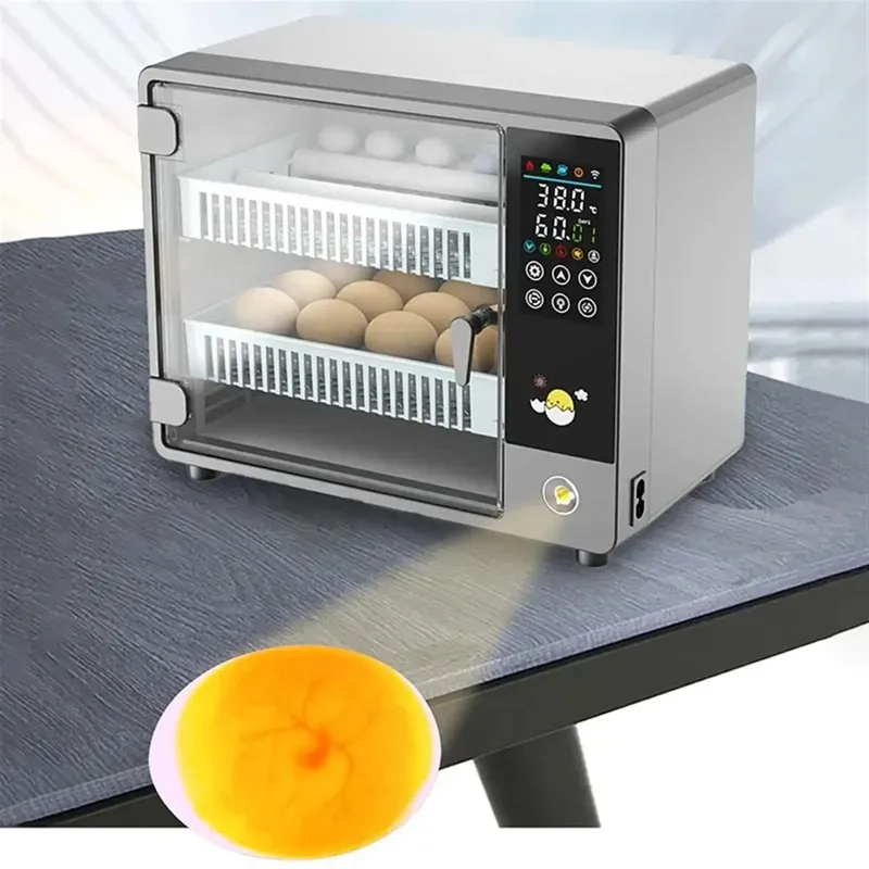 Incubateur œufs mini automatique domestique 24 œufs