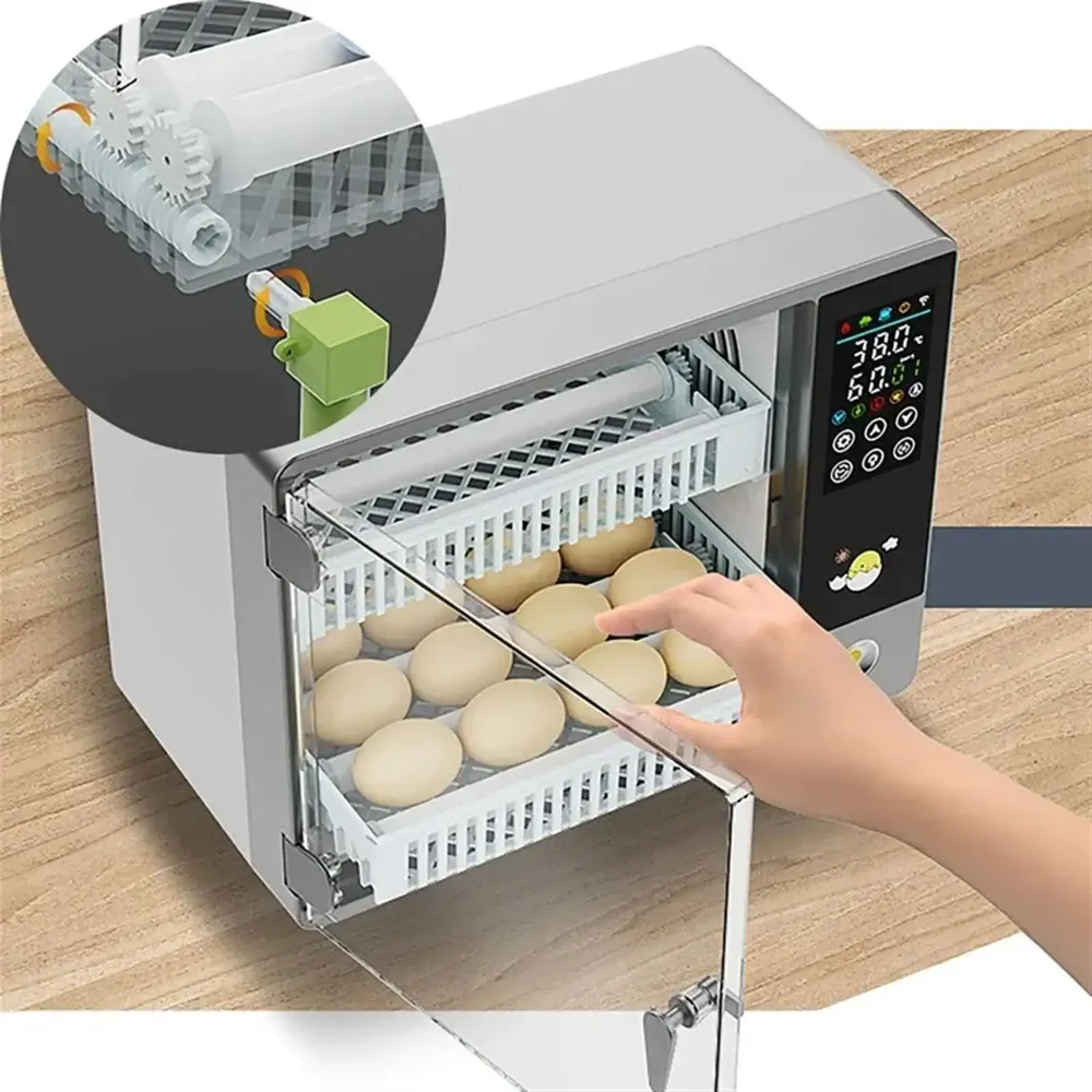 Incubateur œufs mini automatique domestique 24 œufs