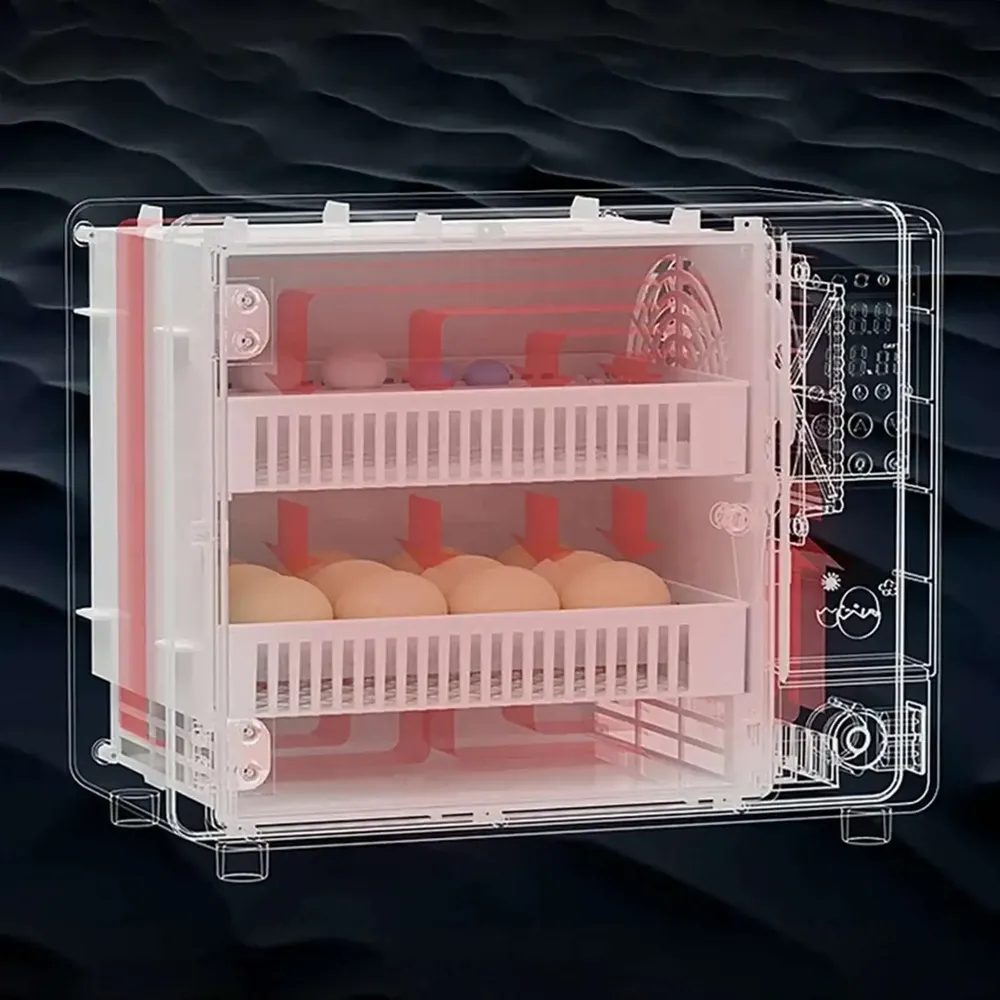 Incubateur œufs mini automatique écran tactile double humidification