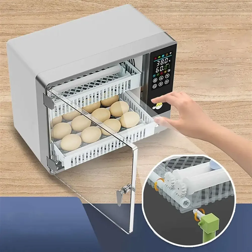 Incubateur œufs mini automatique écran tactile double humidification
