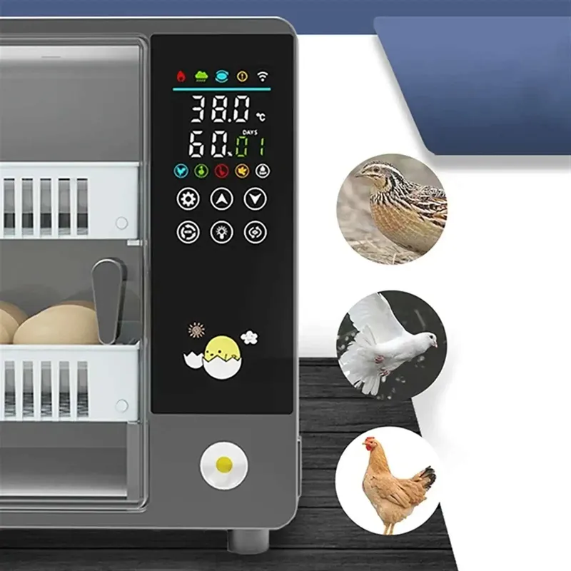 Incubateur œufs mini automatique écran tactile double humidification