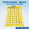 Incubateur rotatif 16 à 24 œufs pour oiseaux et cailles – 1