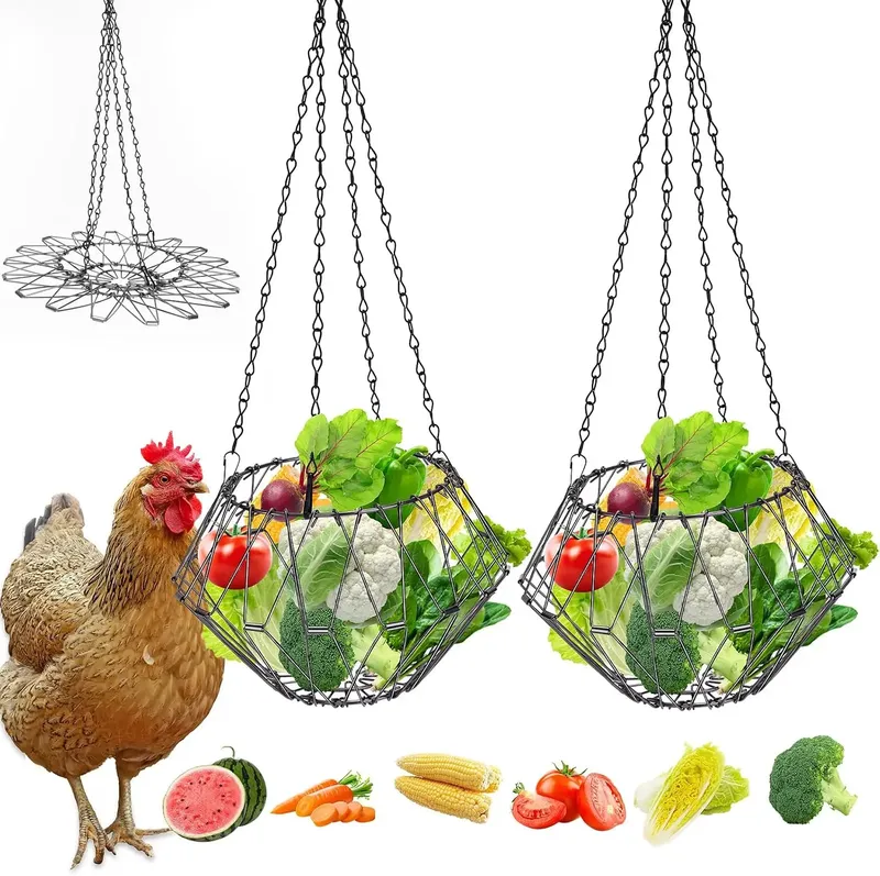 Jouet distributeur pour poules avec chaîne et panier