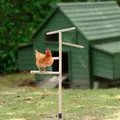 Jouet perche poulet poulailler avec échelle pour volailles – 2