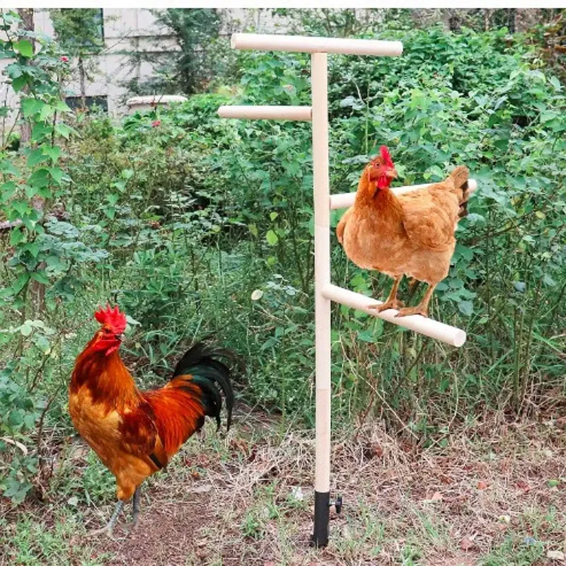 Jouet perche poulet poulailler avec échelle pour volailles