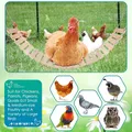 Jouet poulet grande échelle pivotante bois pour volaille – 4