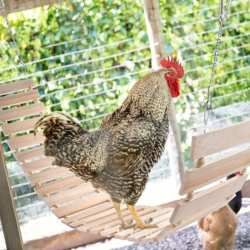 Jouet poulet grande échelle pivotante bois pour volaille