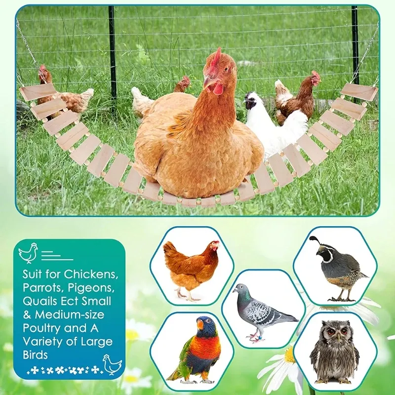 Jouet poulet grande échelle pivotante bois pour volaille
