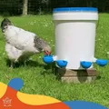 Kit abreuvoir automatique pour volaille lot de 5 à 10 – 3