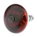 Lampe céramique 100 à 175W pour reptiles et animaux de ferme – 1