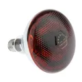 Lampe céramique 100 à 175W pour reptiles et animaux de ferme – 2