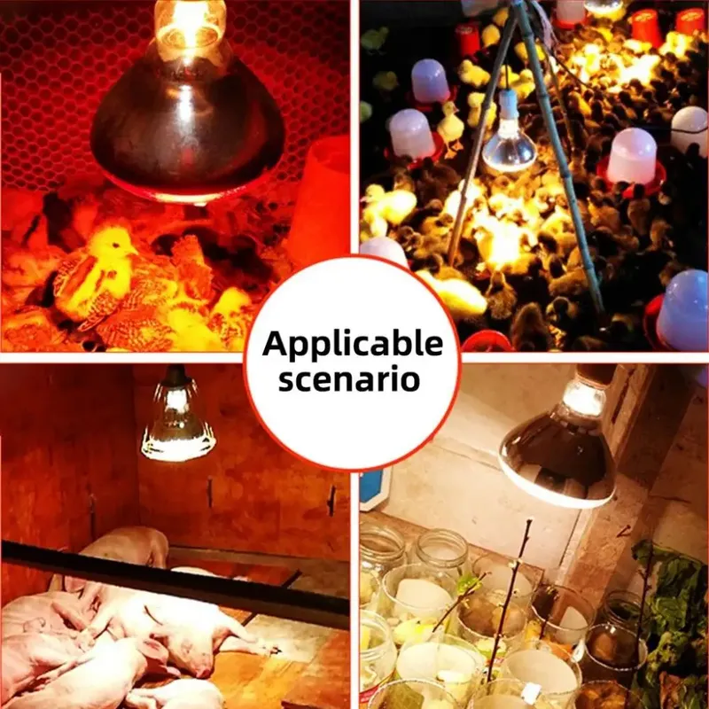 Lampe chauffante 100 à 200W pour volailles et reptiles