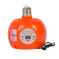 Lampe chauffante 150W avec thermostat pour animaux de ferme – Couleur Orange Lamp