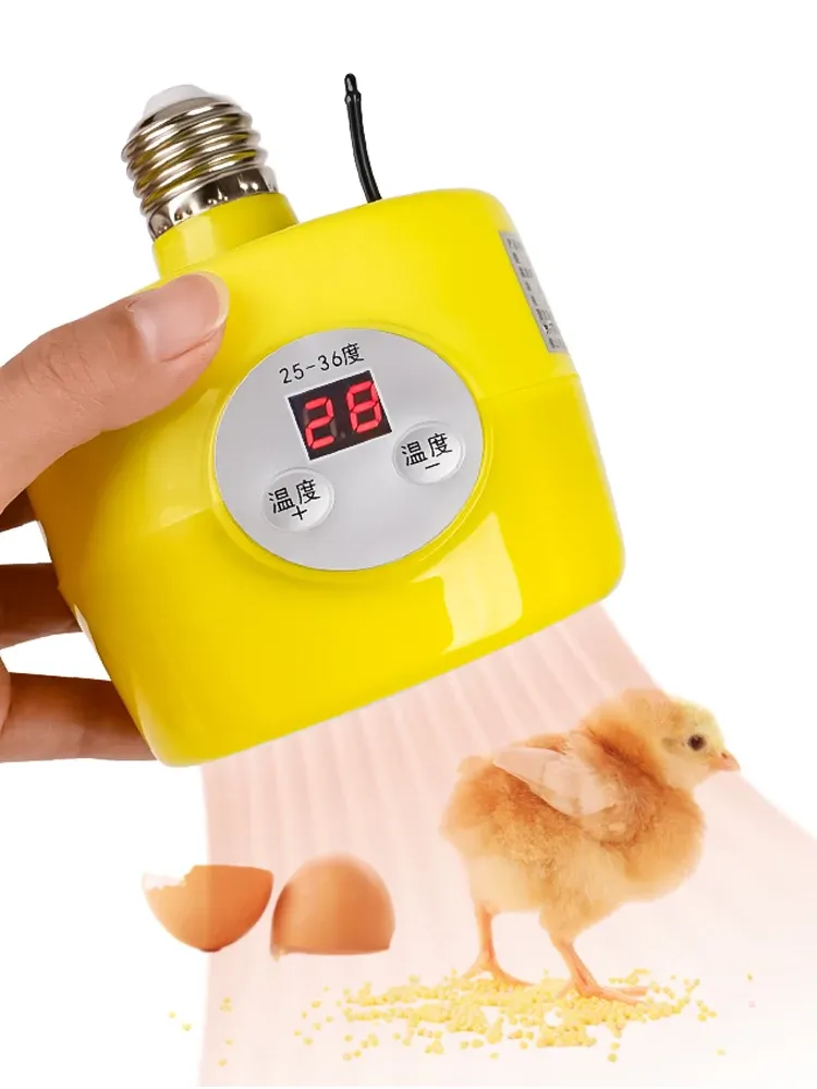 Lampe chauffante à air chaud pour poulailler et reptiles