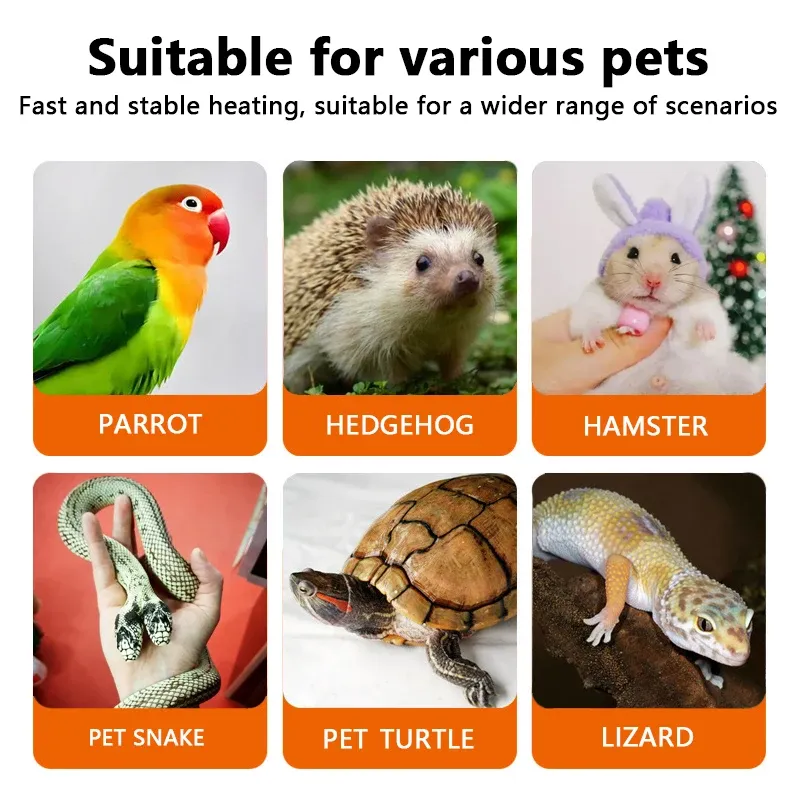 Lampe chauffante céramique 25 à 100W pour poussins reptiles