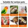 Lampe chauffante céramique 25 à 75W pour poussins reptiles – 3