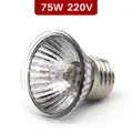 Lampe chauffante céramique E27 25 à 100W pour couveuse – Couleur Type A-75w