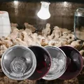 Lampe chauffante épaisse 100 à 200W pour poussins reptiles – 3