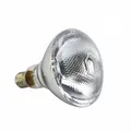 Lampe chauffante industrielle pour poulets et porcs – Couleur 16 12.5 01
